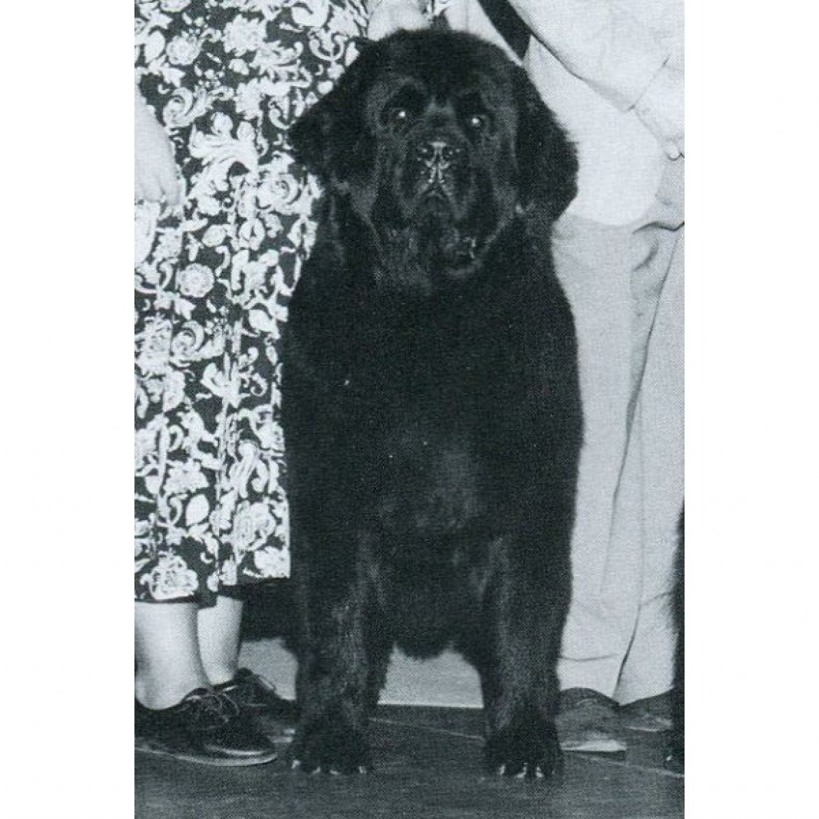 R Grand Illusion Baxter Factor (23-07-1991)